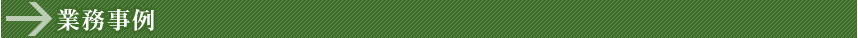 Ɩ