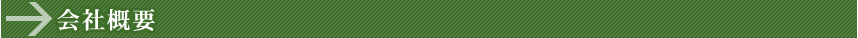 ЊTv